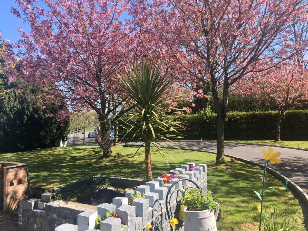 Apartmán Gráisín Kilkenny Exteriér fotografie
