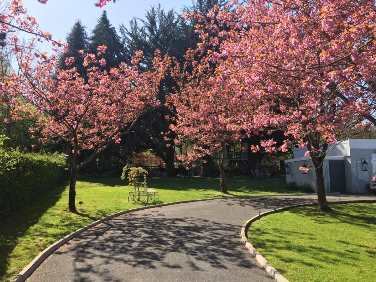 Apartmán Gráisín Kilkenny Exteriér fotografie